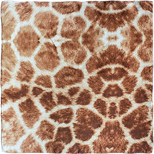 Giraffe copy