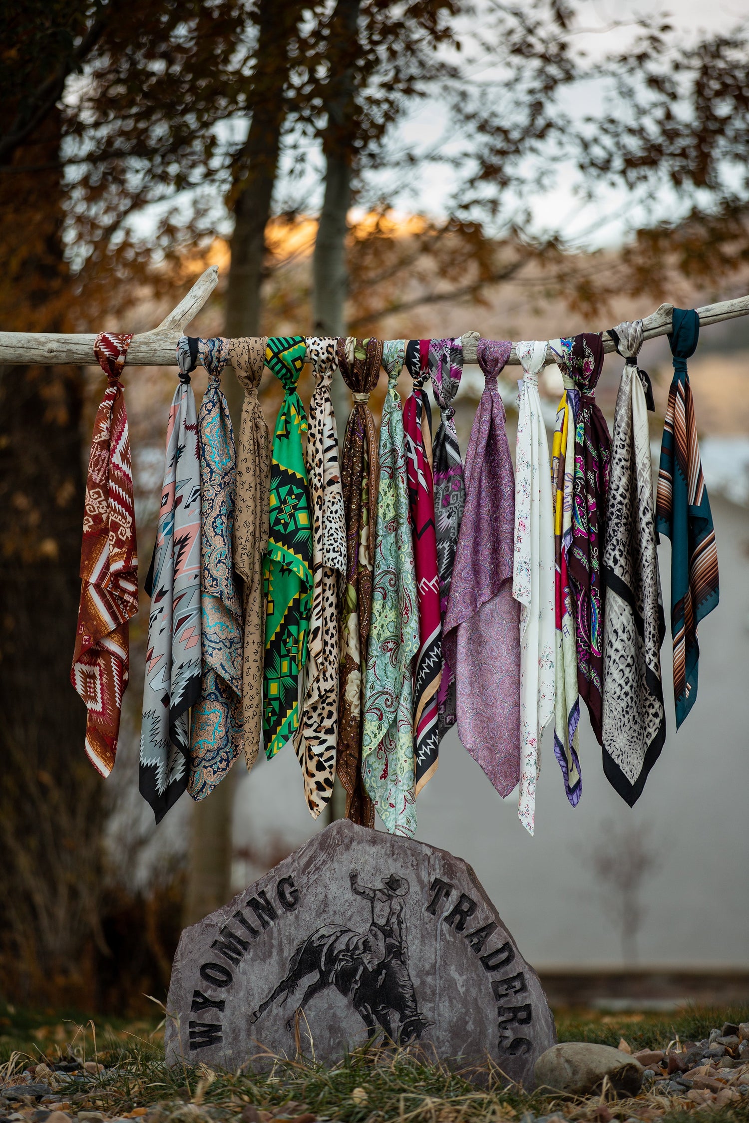 Wild Rags