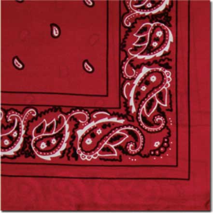 Bandana Wild Rags