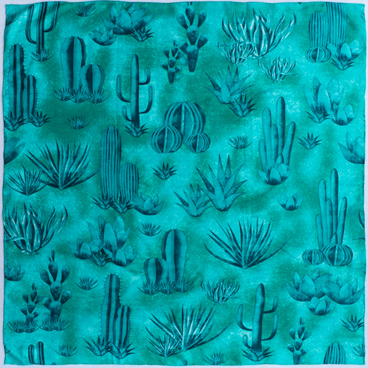 Southwest Wild Rags