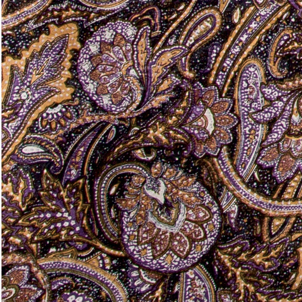 Paisley Silk Wild Rags