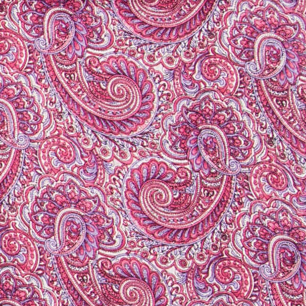 Paisley Silk Wild Rags