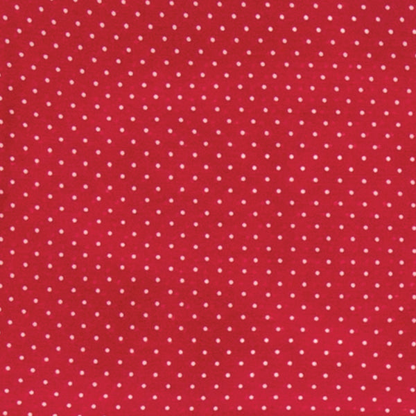 Polka Dot Silk Wild Rags
