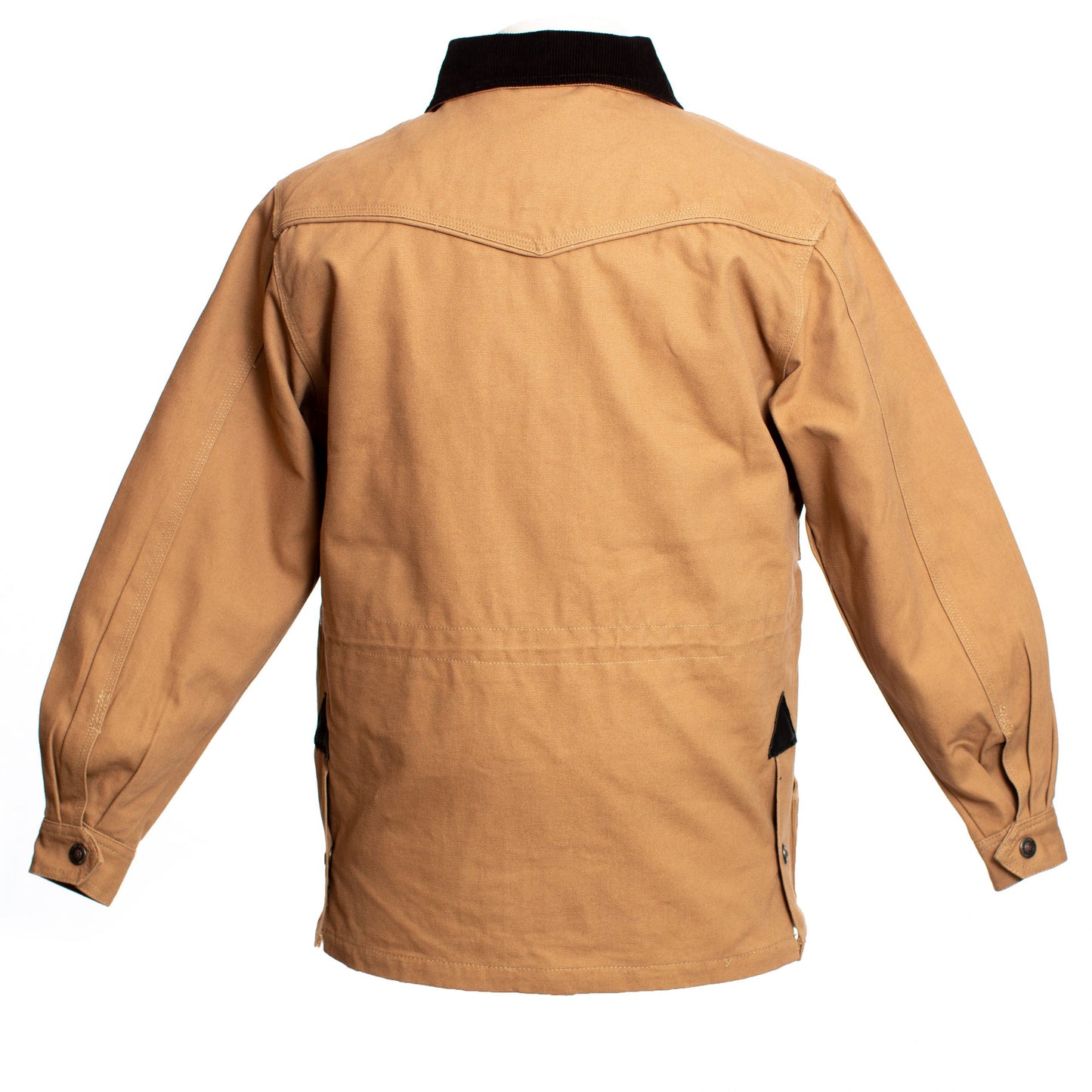 Sagebrush Tan Back 1 copy