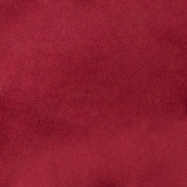 Red Oxford Shirt Swatch