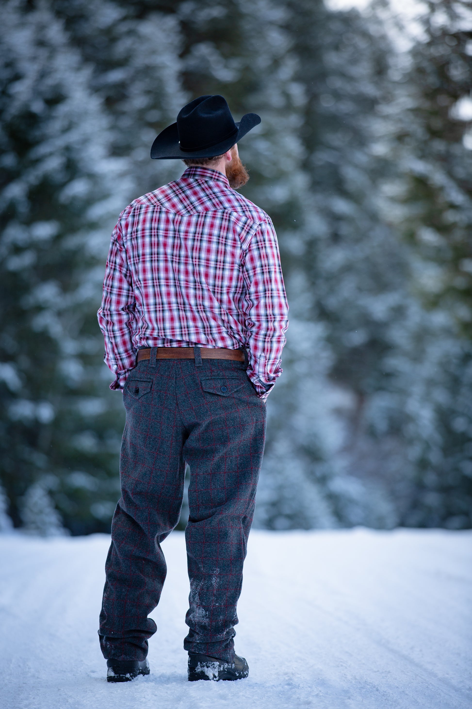 Wool Pants Back